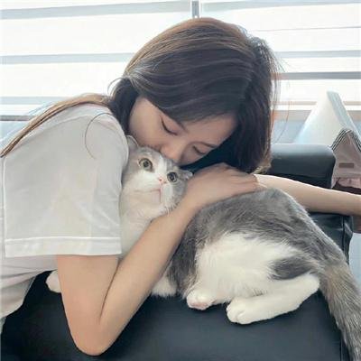 叶问4:完结篇
